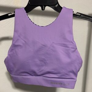 Chestee sports bra